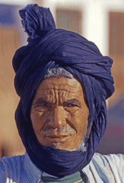 Akbar the guide