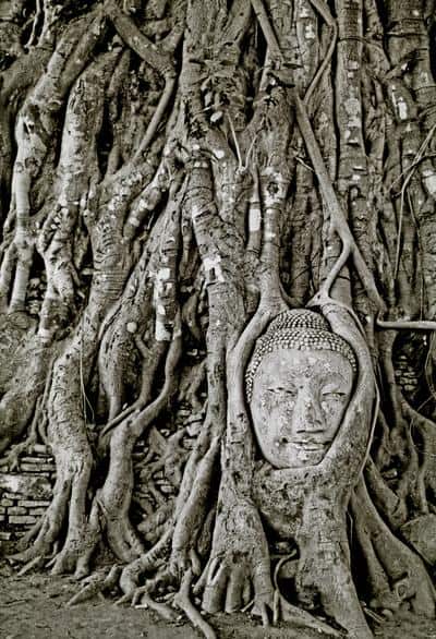 Buddha remains, Ayutthaya, Thailand (1997) Photo (c) Karen Abrahamson Buddha remains, Ayutthaya, Thailand (1997) Photo (c) Karen Abrahamson