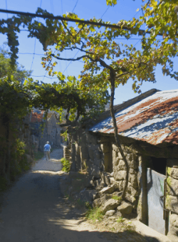 Wine trellised trails of a stone Minho villlage Wine trellised trails of a stone Minho villlage