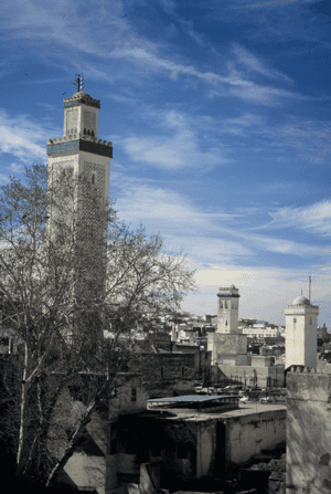 The Rooftops of Fez The Rooftops of Fez