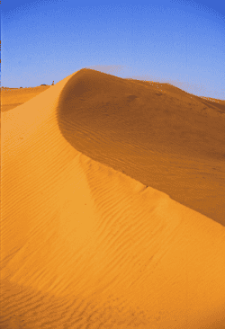 Red dunes Red dunes