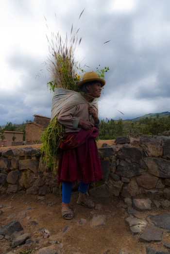 Old Camposino Woman. She shows such strength. (2011) Photo (c) Karen Abrahamson Old Camposino Woman. She shows such strength. (2011) Photo (c) Karen Abrahamson