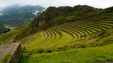 The terraces of Pisac with the ruins of the fortress on the bluff behind (2011) Photo (c) Karen Abrahamson The terraces of Pisac with the ruins of the fortress on the bluff behind (2011) Photo (c) Karen Abrahamson