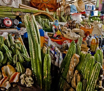Shaman's stall, Cusco market (2011) Photo (c) Karen Abrahamson Shaman's stall, Cusco market (2011) Photo (c) Karen Abrahamson