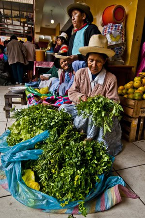 Women with their 'spot' picked out. Ollantaytambo (2011) Photo (c) Karen Abrahamson Women with their 'spot' picked out. Ollantaytambo (2011) Photo (c) Karen Abrahamson