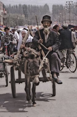 Going to sunday market