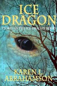 Cover option 1 - 200-300