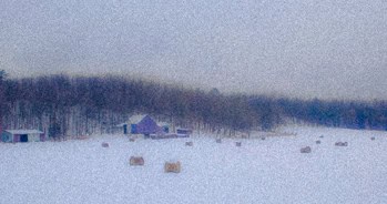 DSC_0073 barn and bales 2a resized