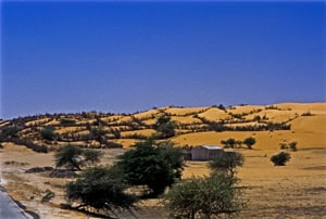 devouring dunes