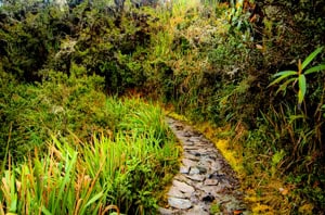 camino inca23