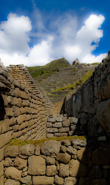 machu 24