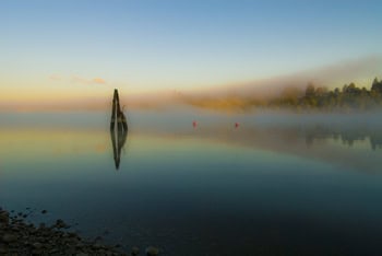 Mist of the Fraser River